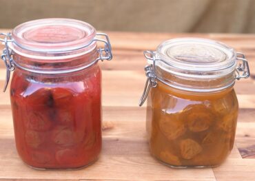 Cách làm mơ muối kiểu Nhật Bản – Umaboshitại nhà