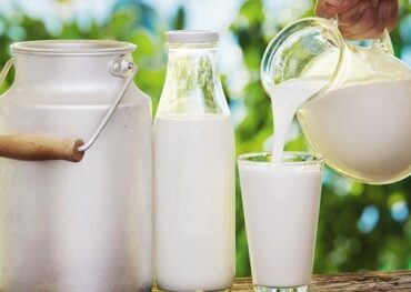 Giá trị dinh dưỡng của sữa bò tươi