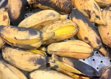 Tác dụng bất ngờ của chuối luộc