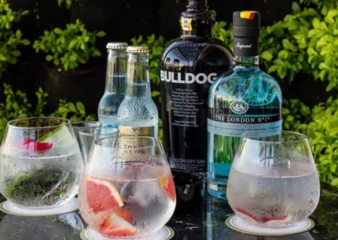 Rượu Gin là gì và lịch sử lâu đời của nó